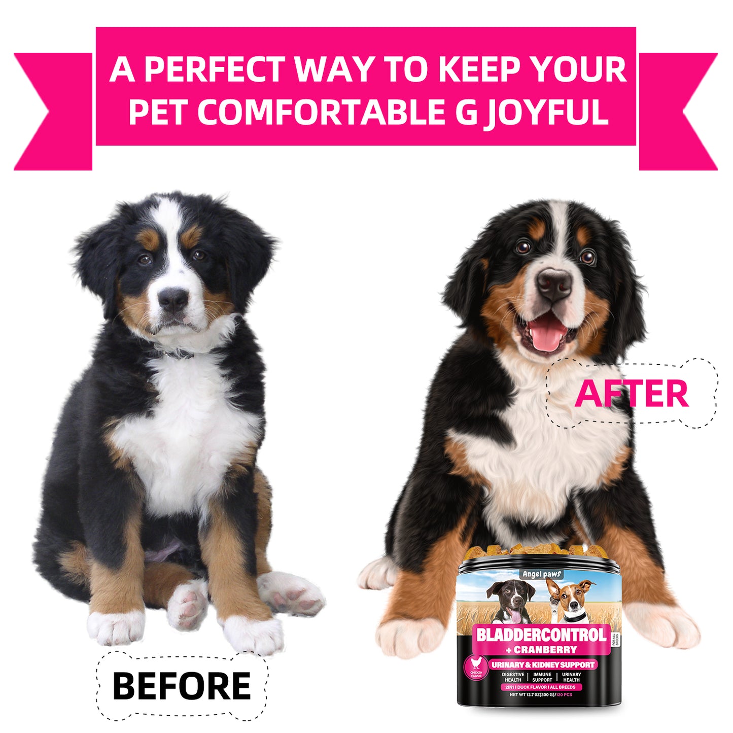 Bladder Control Treats