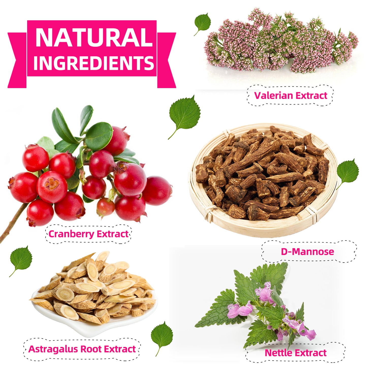 Bladder Control Treats