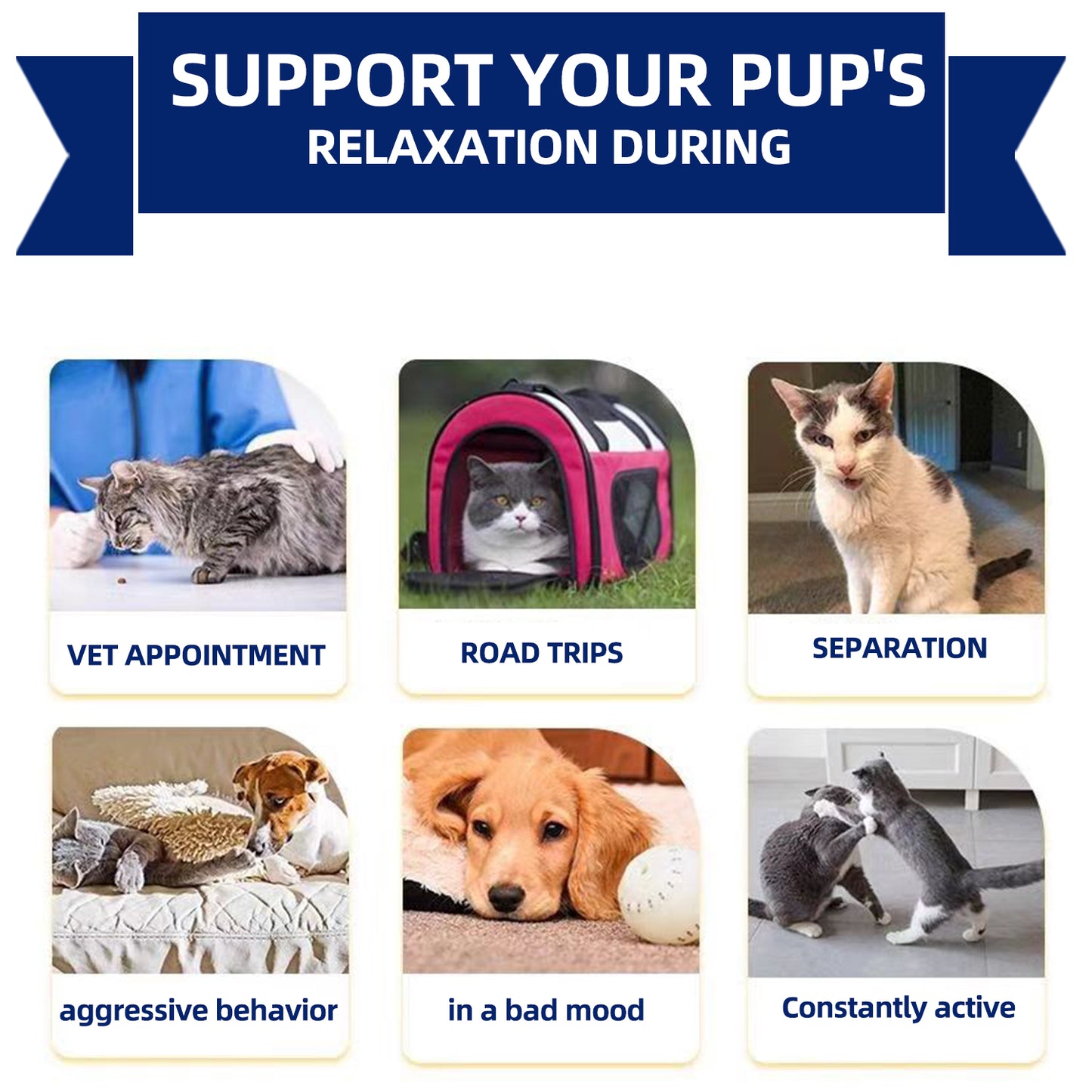 Behavior Calming Treats
