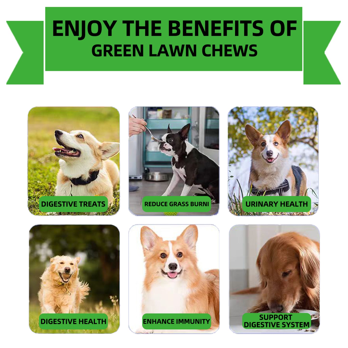 Green Lawn Probiotics