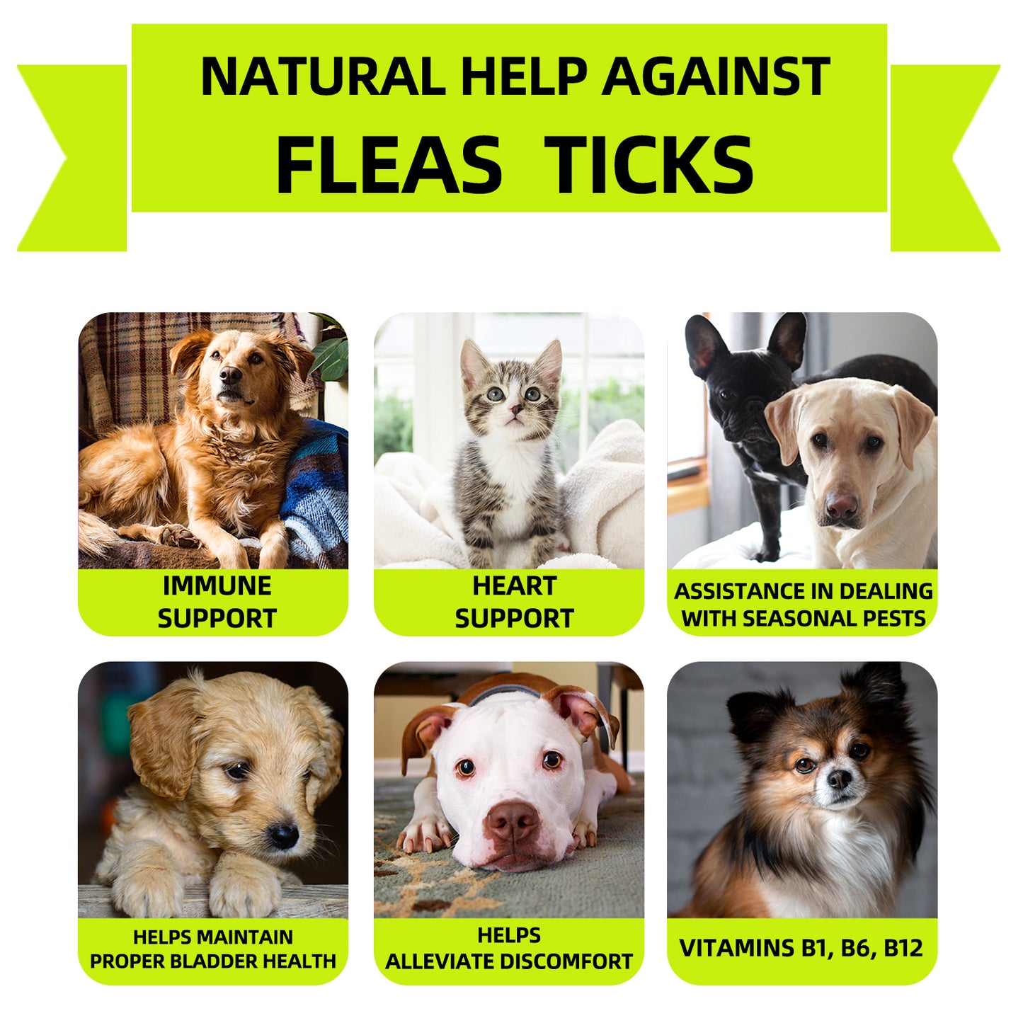 Flea & Tick Prevention Treats