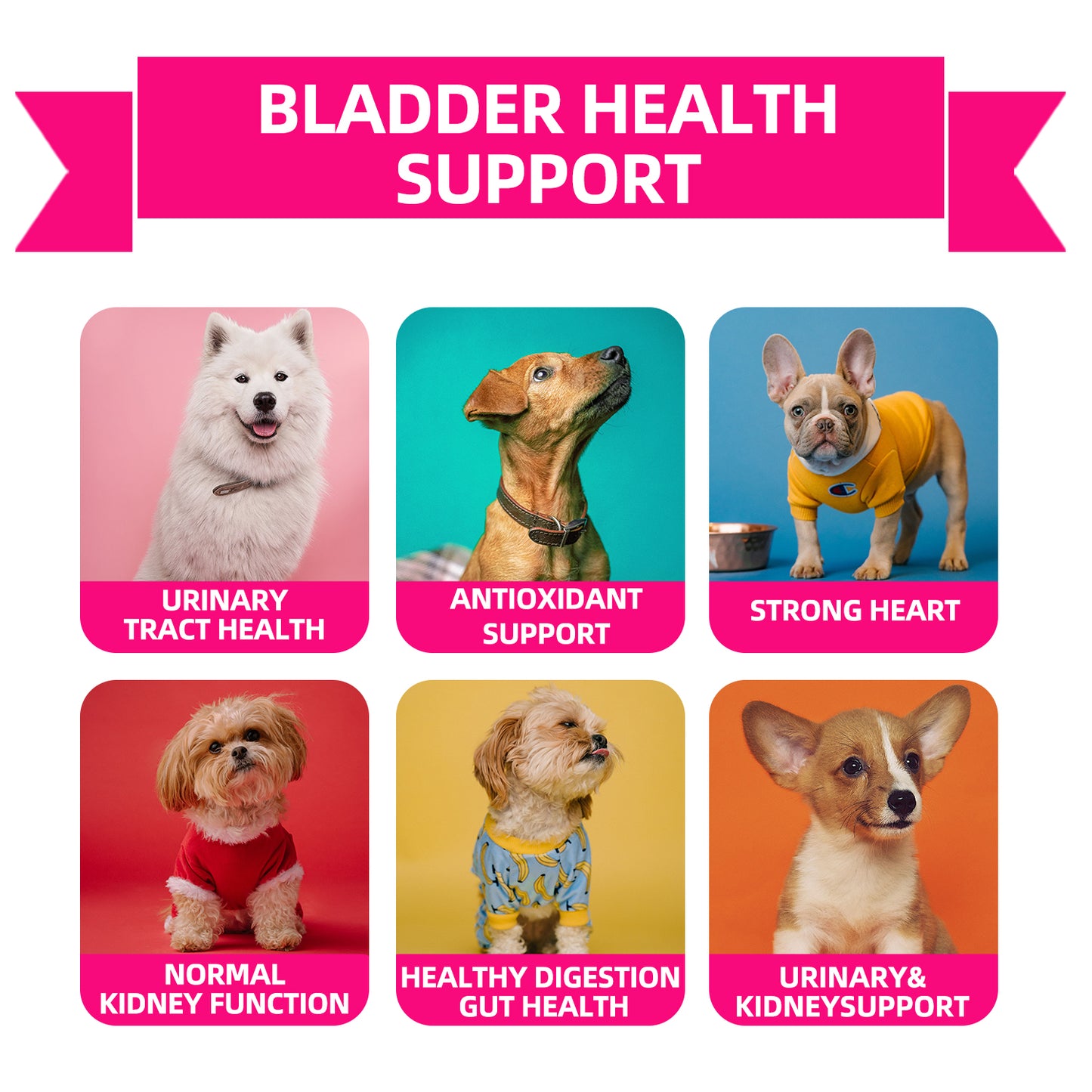Bladder Control Treats