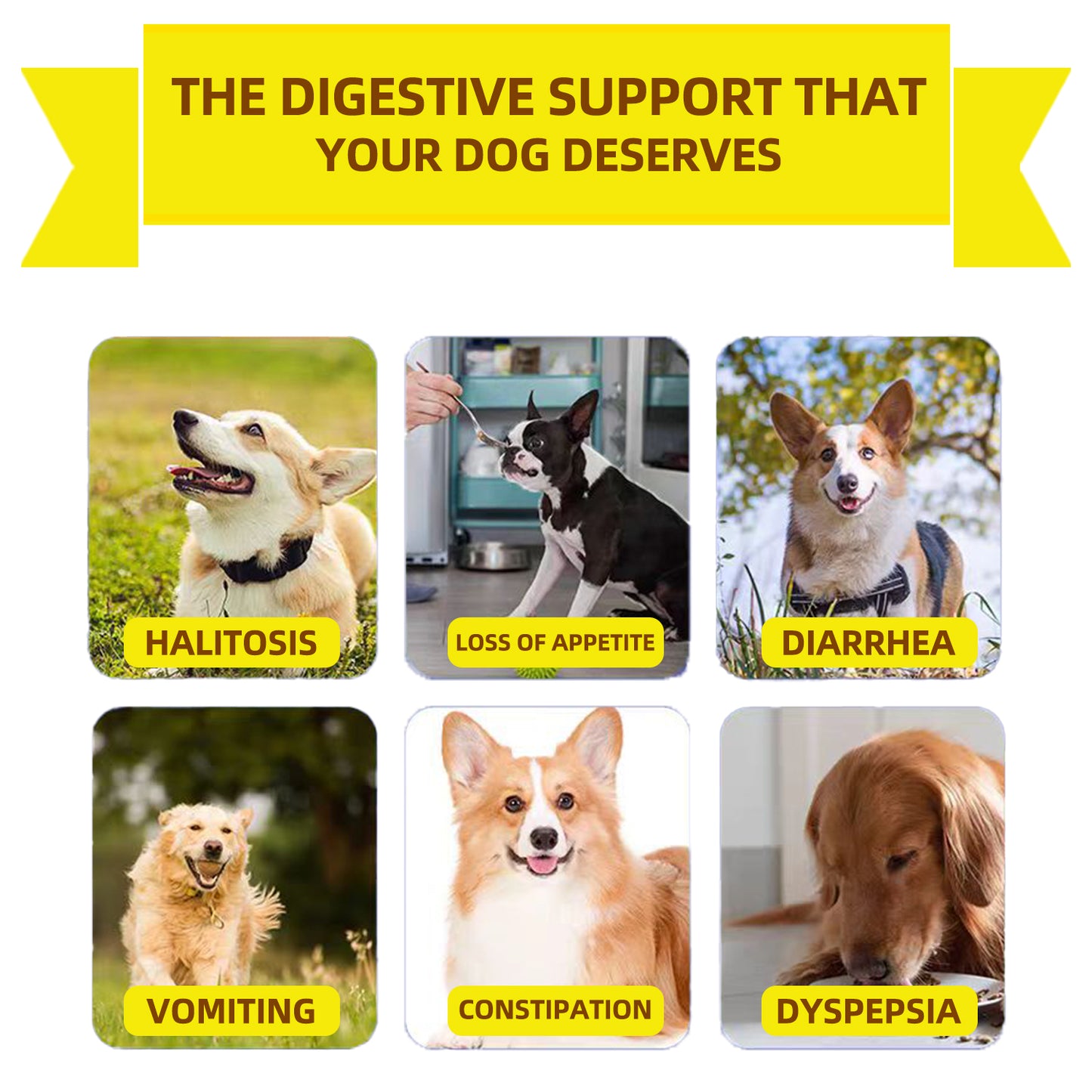 Priobiotic Treats