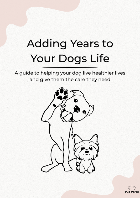 Adding Years To Your Dogs Life