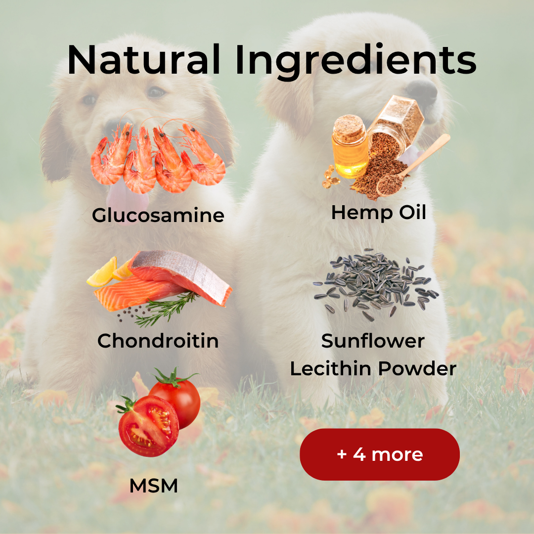 Hip & Joint Hemp Treats