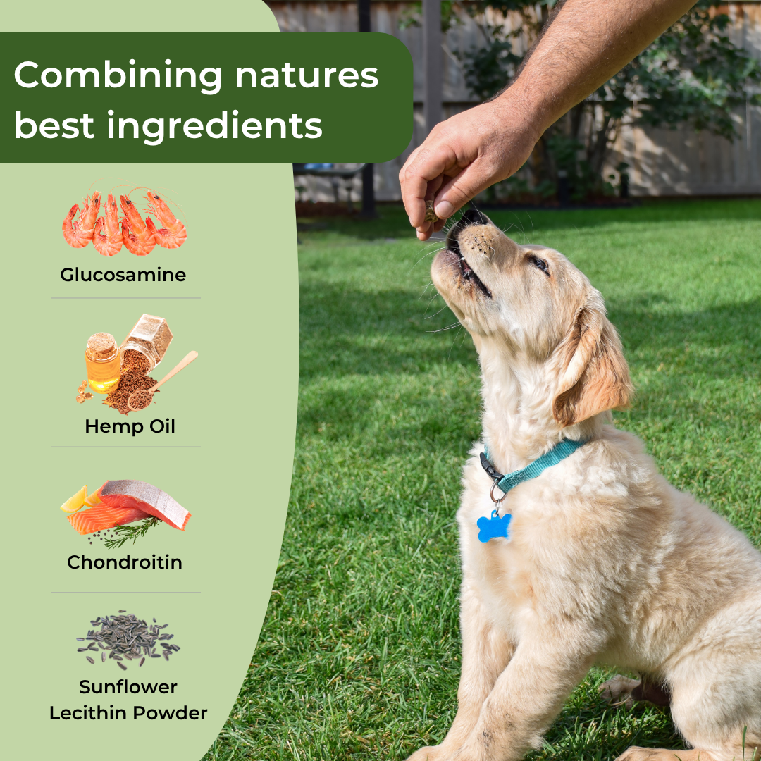 Hip & Joint Hemp Treats