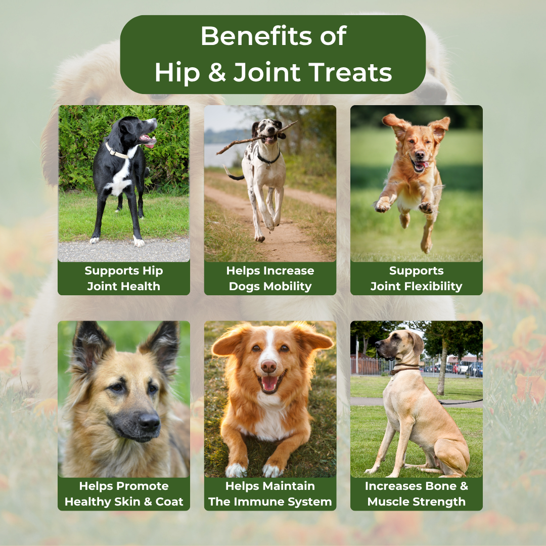 Hip & Joint Hemp Treats